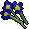 Blue flowers