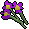 Purple flowers