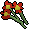 Red flowers